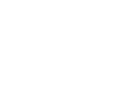 Meshitis Logo